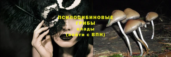 шишки Бронницы