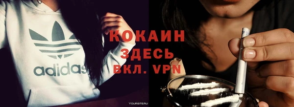 шишки Бронницы