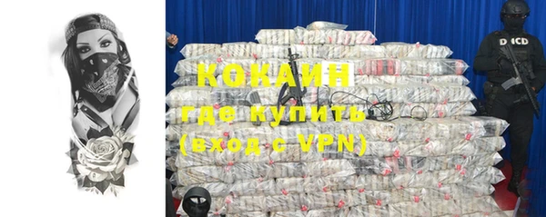 шишки Бронницы