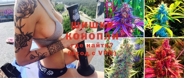 шишки Бронницы